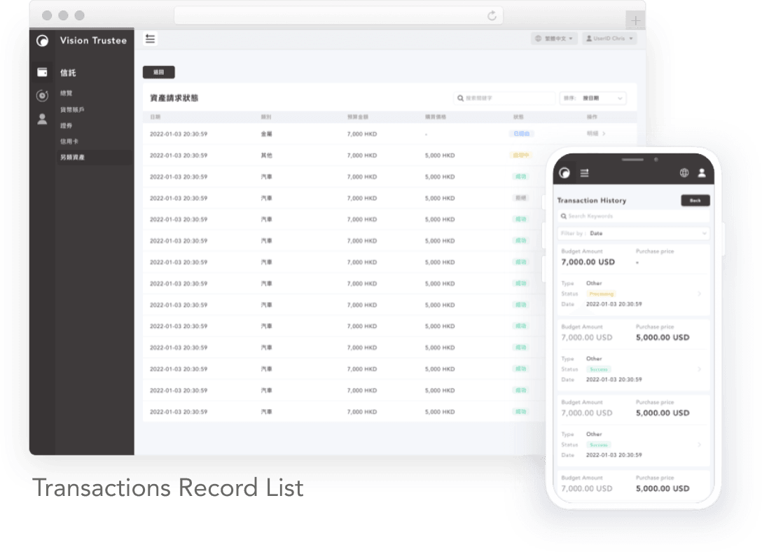 Vision Trustee Responsive UI Design 8